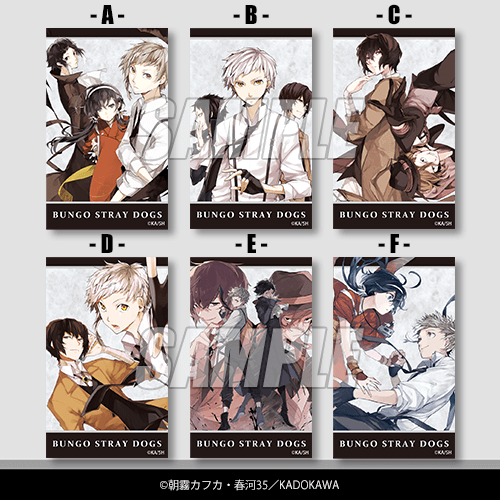 특제 미니브로마이드