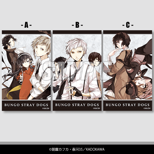 특제 미니브로마이드 A・B・C