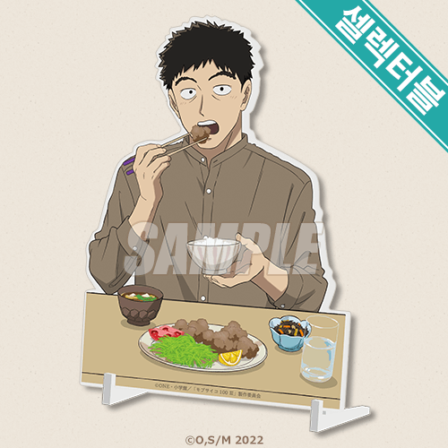 셀렉터블! 아크릴 패널 세리자와