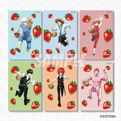 [복각] [은혼] 온라인쿠지 ~딸기 사냥이다아아아!!~【5개 세트+특전】